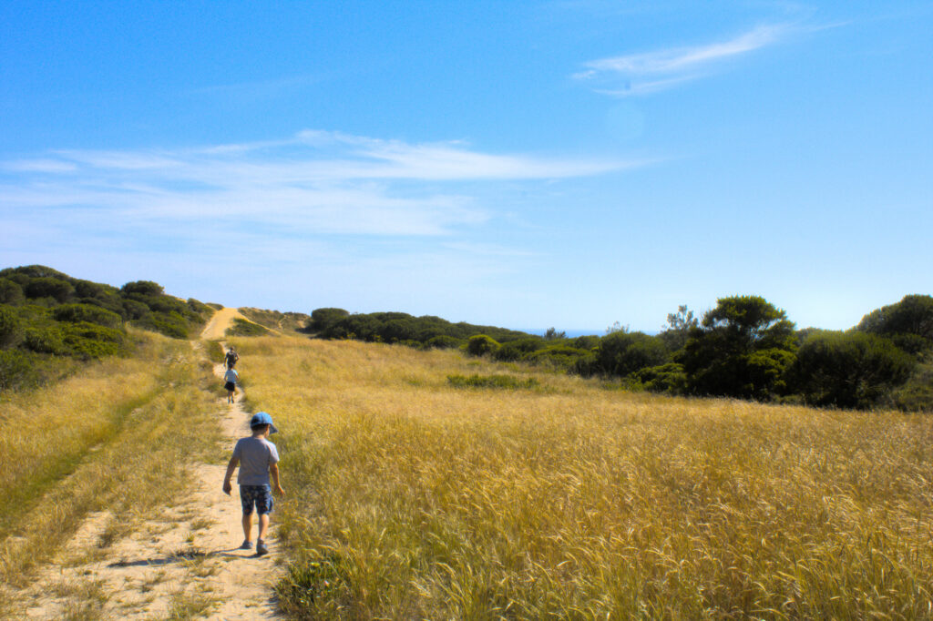 Trilho natural rodeado de vegetação onde clientes caminham tranquilamente — tours privados por paisagens pouco exploradas