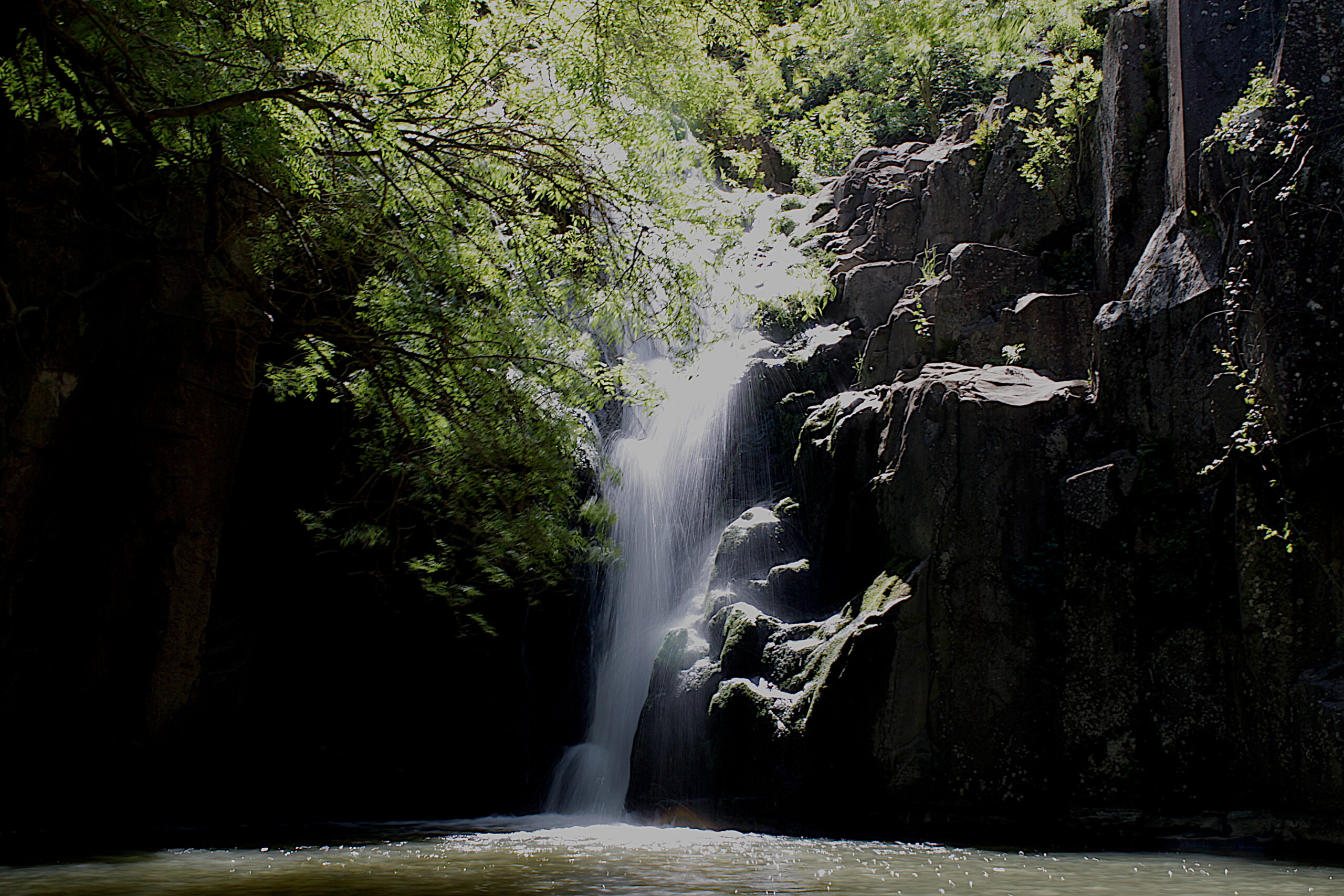 Cascata de Anços entre vegetação luxuriante — refúgio natural escondido nos trilhos de Sintra